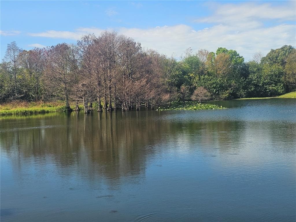 433 SAILFISH BOULEVARD photo 11