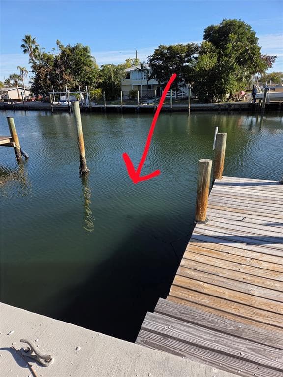 10215 MANATEE AVENUE W 1 photo 5