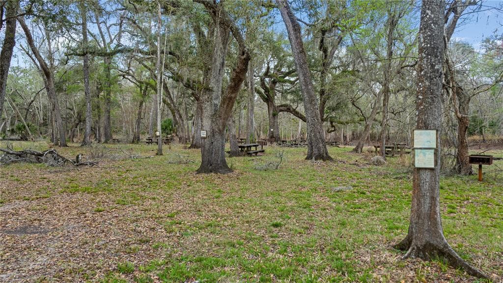 2878 NE 340 HIGHWAY photo 5