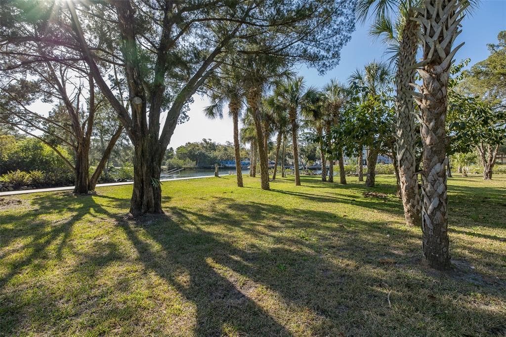14616 BLESSING LANE photo 3