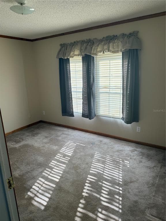 17011 ALDERMAN TURNER ROAD photo 9