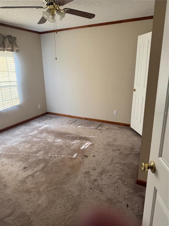 17011 ALDERMAN TURNER ROAD photo 11