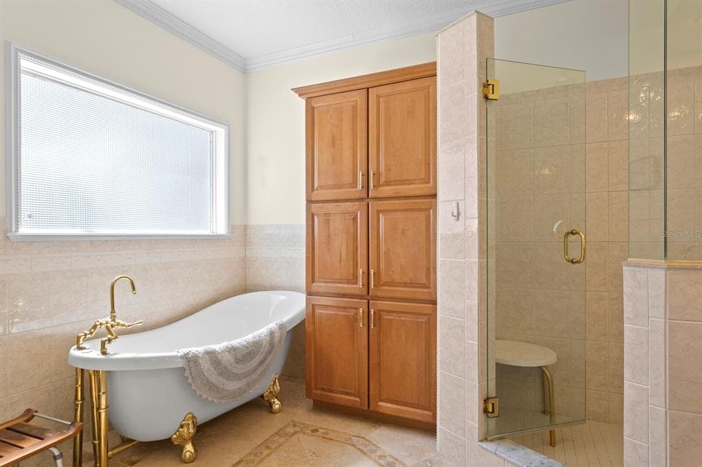 13548 LAKE MAGDALENE DRIVE photo 25