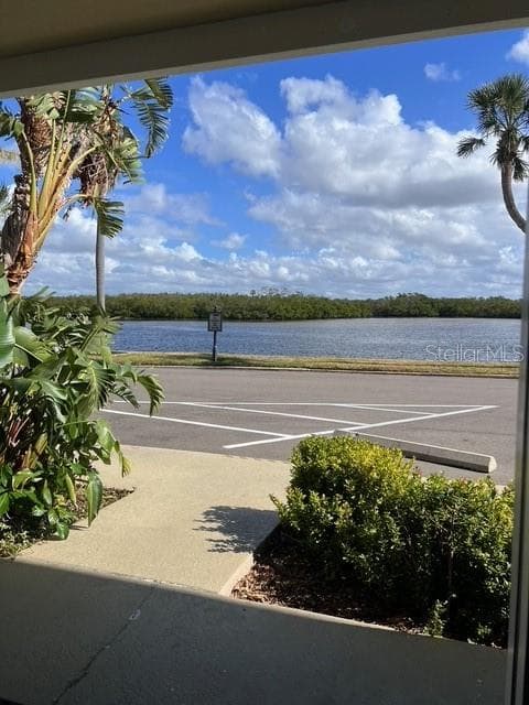 611 DESTINY DRIVE 115 photo 3