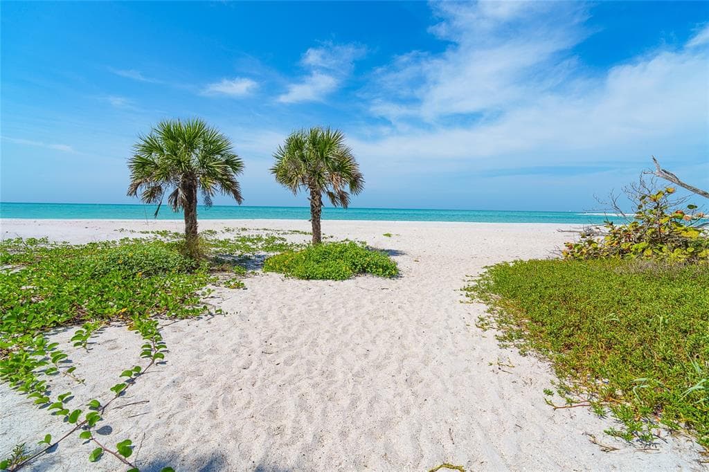 7438 PALM ISLAND DRIVE 3721 photo 24