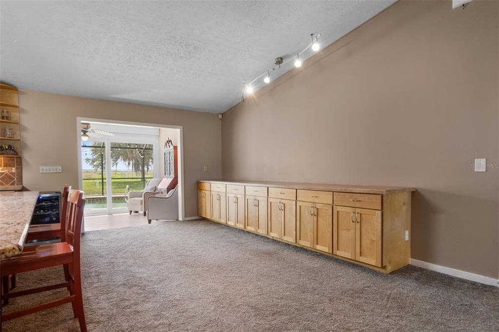 2921 LAKE TOHOPEKALIGA BOULEVARD photo 12