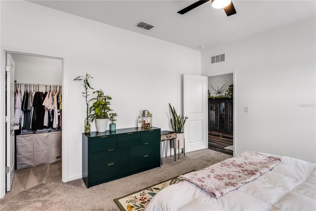 10459 LADYBUG COVE photo 19
