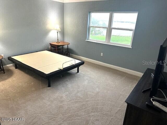 3131 S RIDGEWOOD AVENUE 101 photo 13