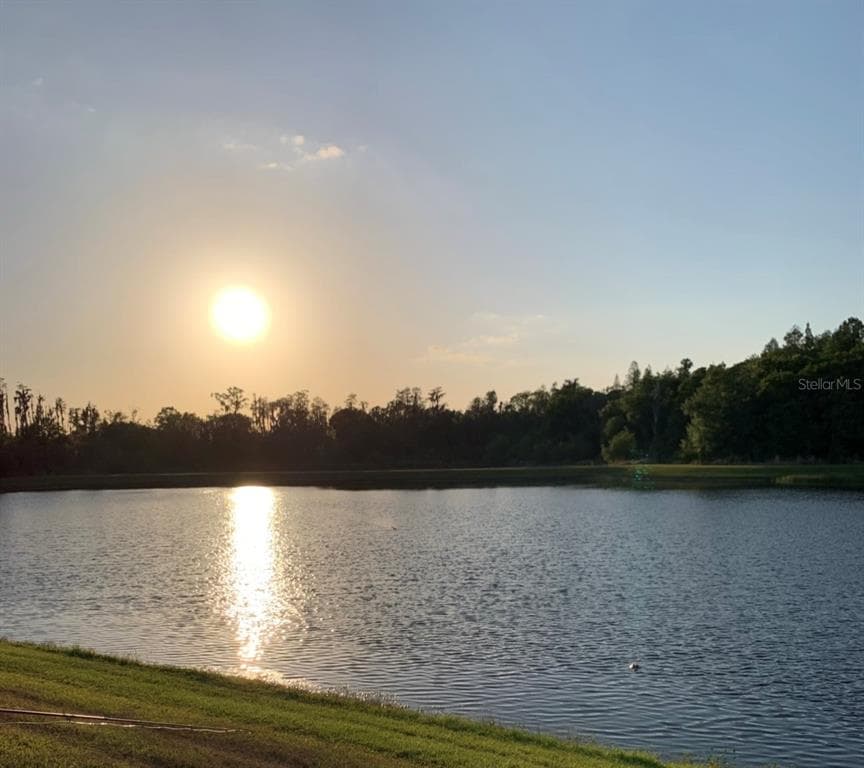 16015 CAPE CORAL DRIVE photo 7