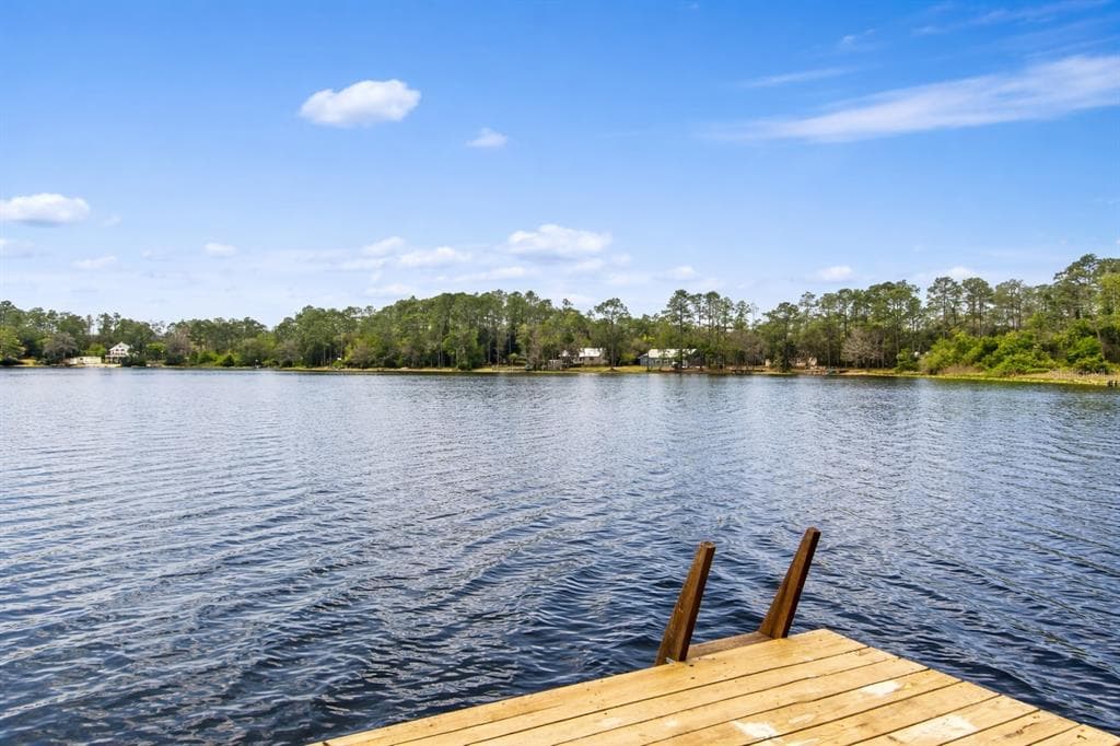 299 RILEY LAKE DRIVE photo 1