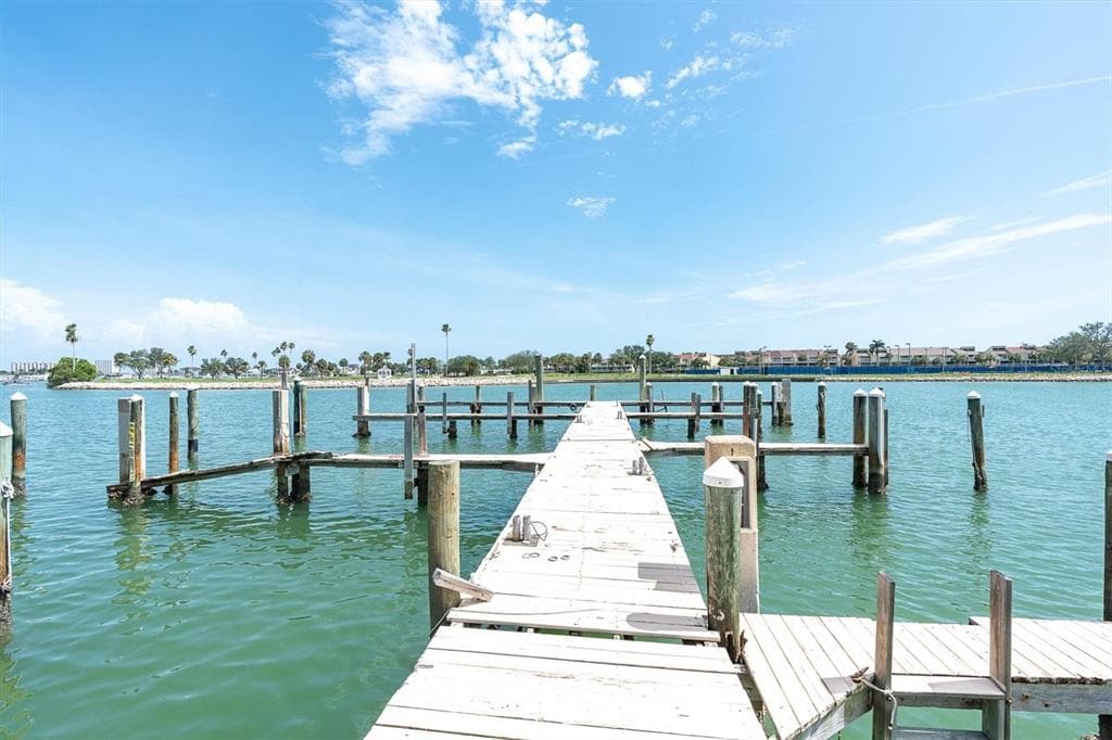 450 TREASURE ISLAND CAUSEWAY 102 photo 11