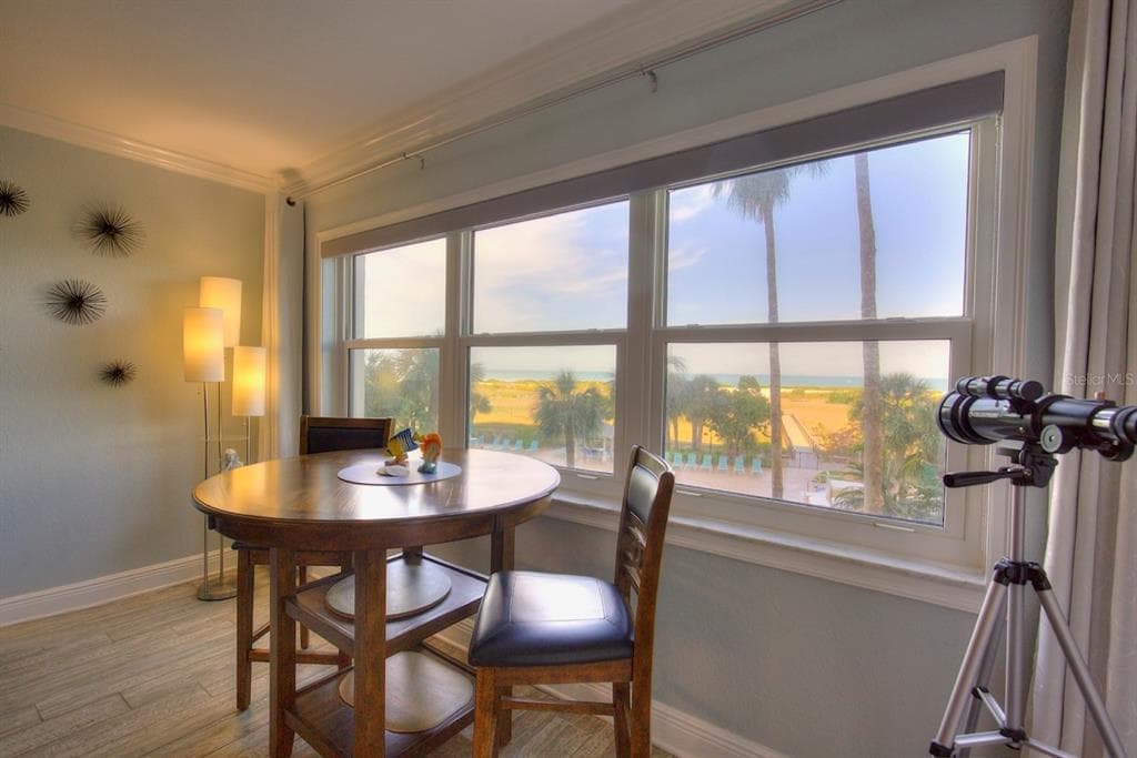 1230 GULF BOULEVARD 304 photo 9