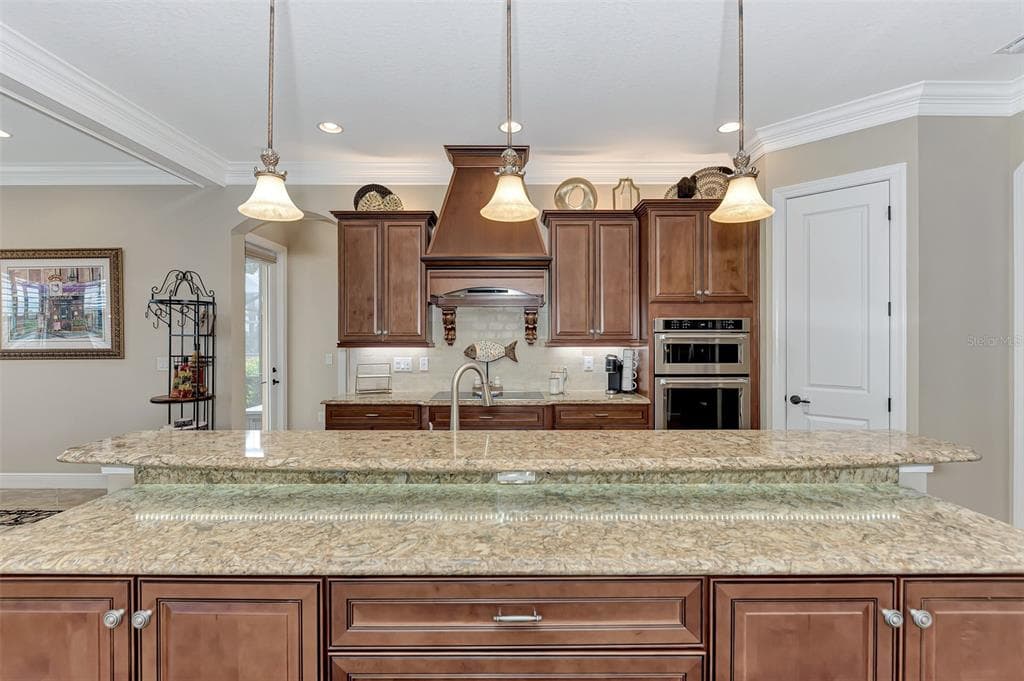 10965 BULLRUSH DRIVE photo 21