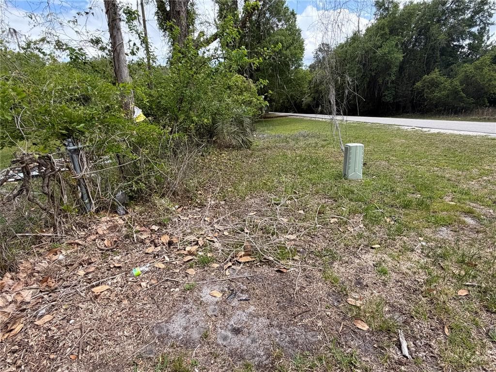 10033 SW COUNTY ROAD 225 photo 7