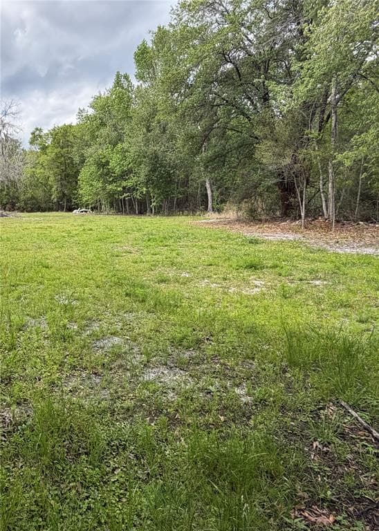 10033 SW COUNTY ROAD 225 photo 10