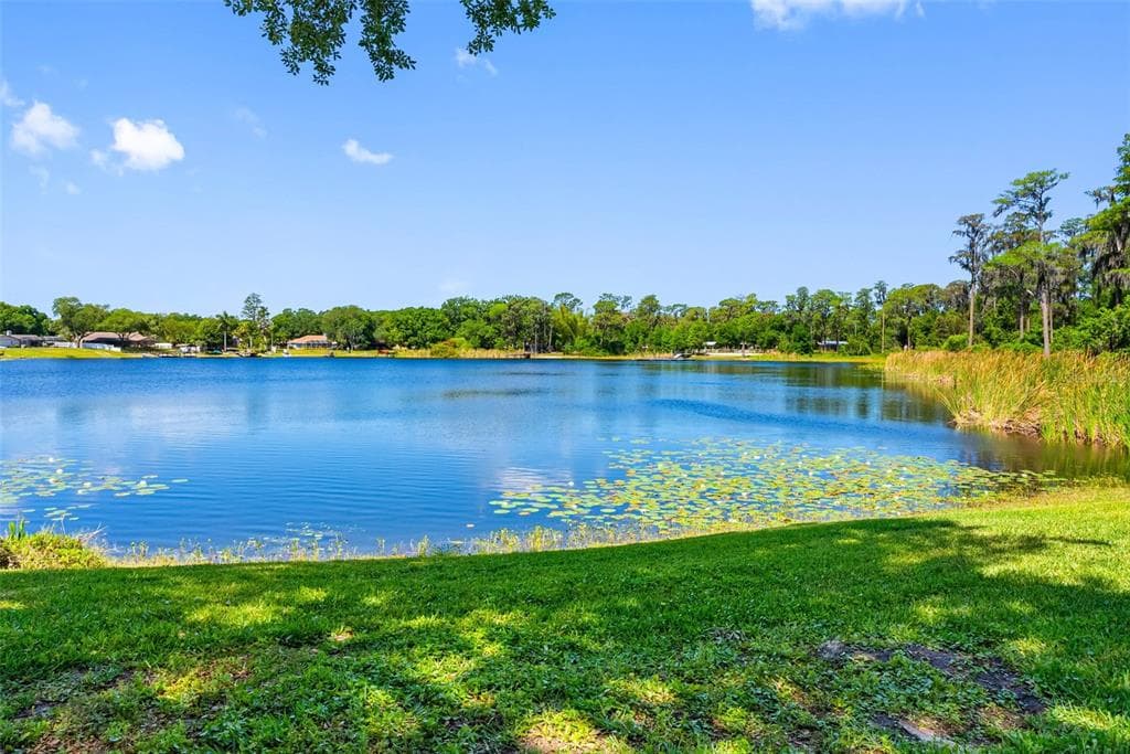10209 LAKE GROVE DRIVE 1