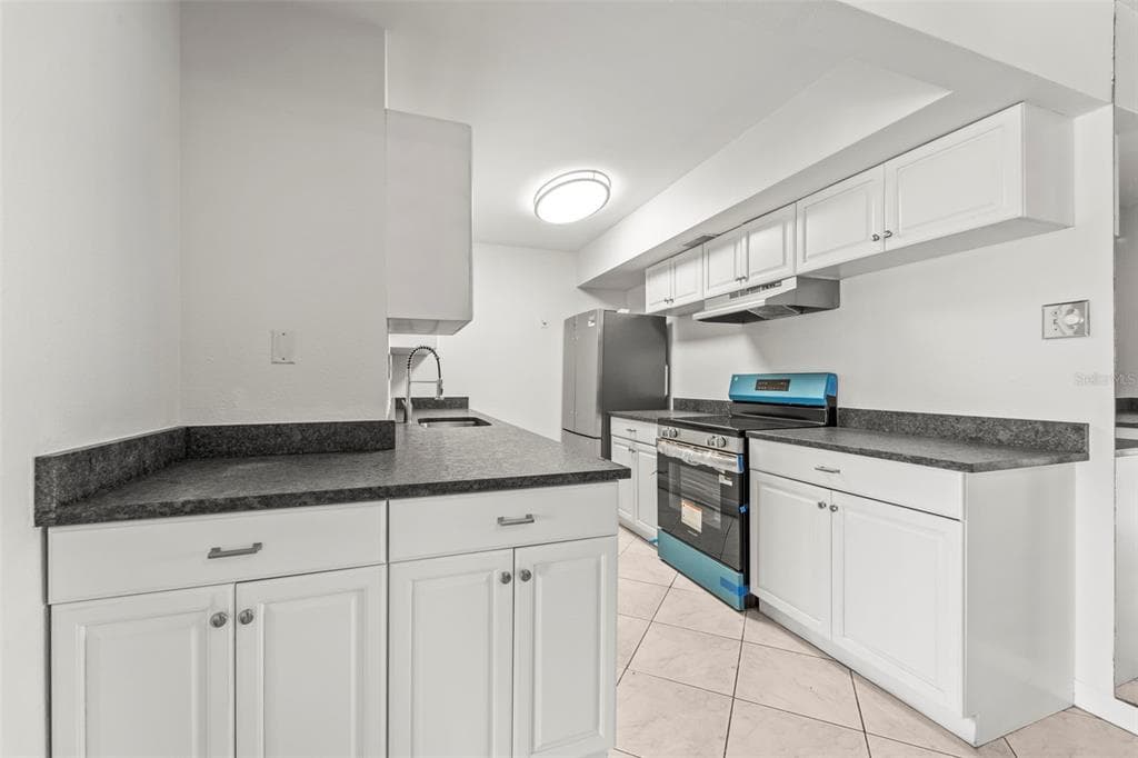 10355 PARADISE BOULEVARD 403 photo 10