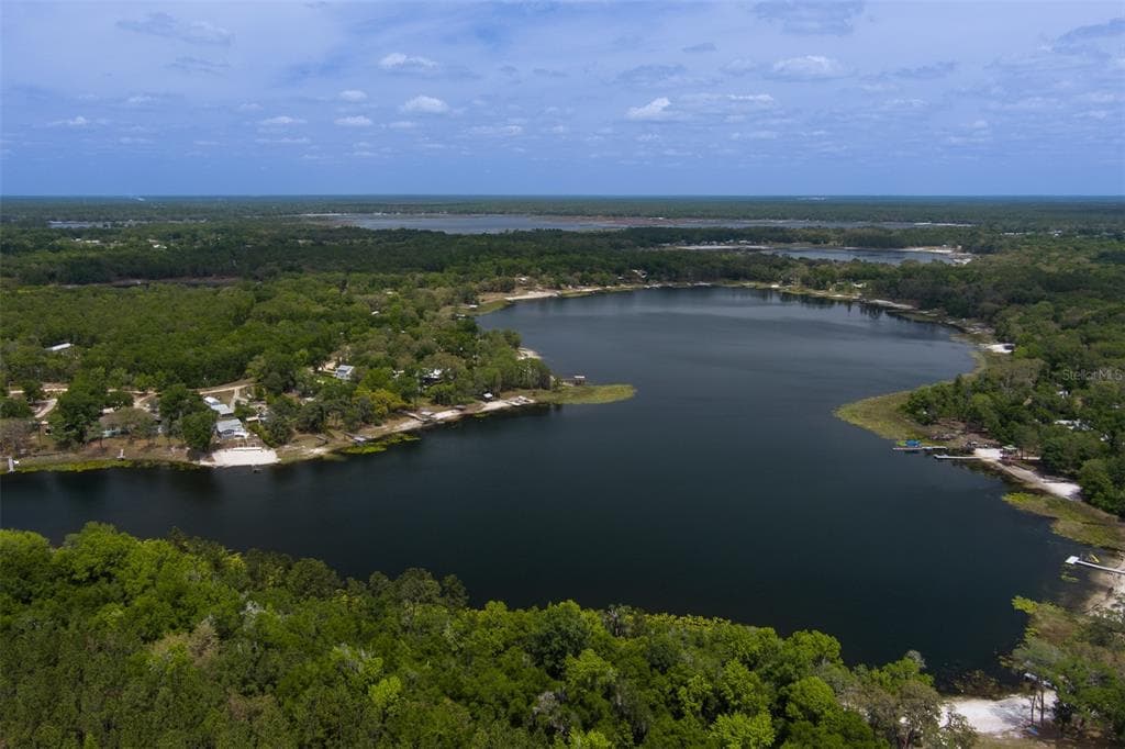 8491 LILLY LAKE ROAD photo 4