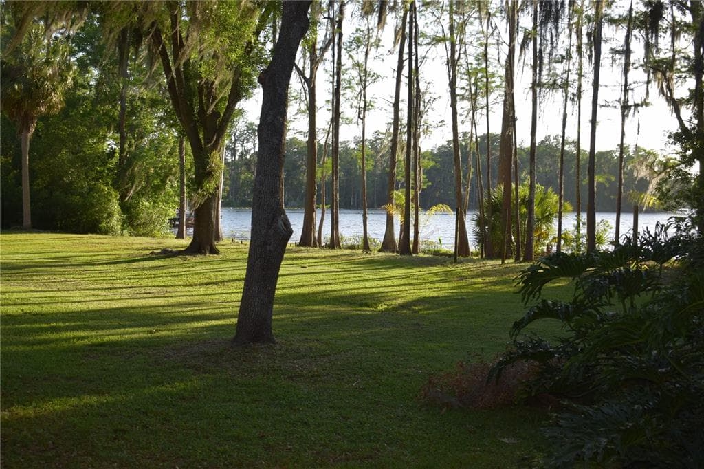 16308 ROCK LAKE DRIVE photo 1