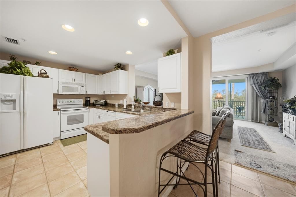255 W END DRIVE 3306 photo 11