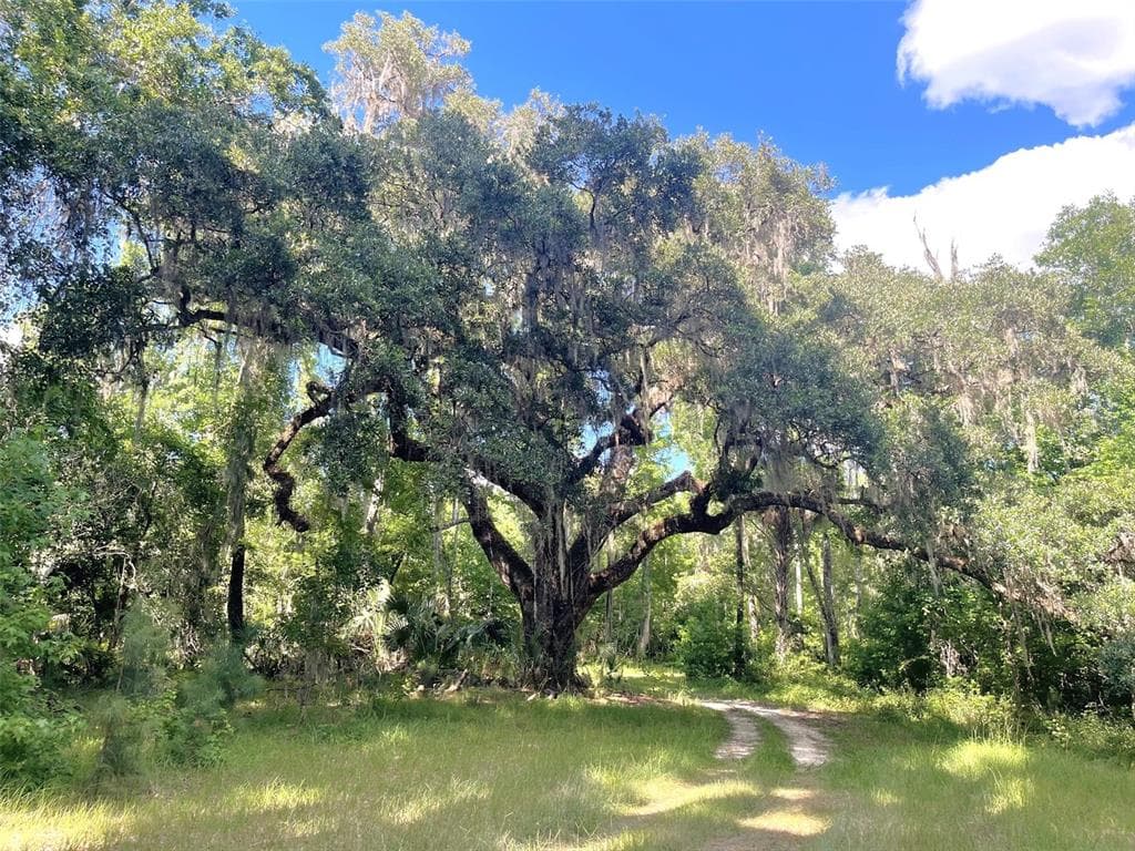 11816 SE COUNTY ROAD 234 photo 13