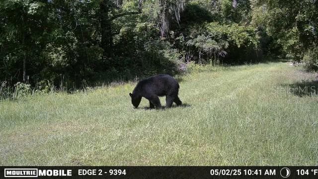 11816 SE COUNTY ROAD 234 photo 10