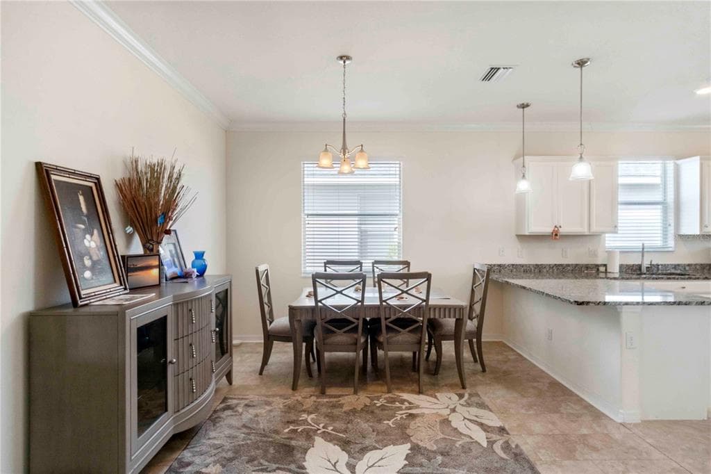 43281 TREADWAY DRIVE photo 23