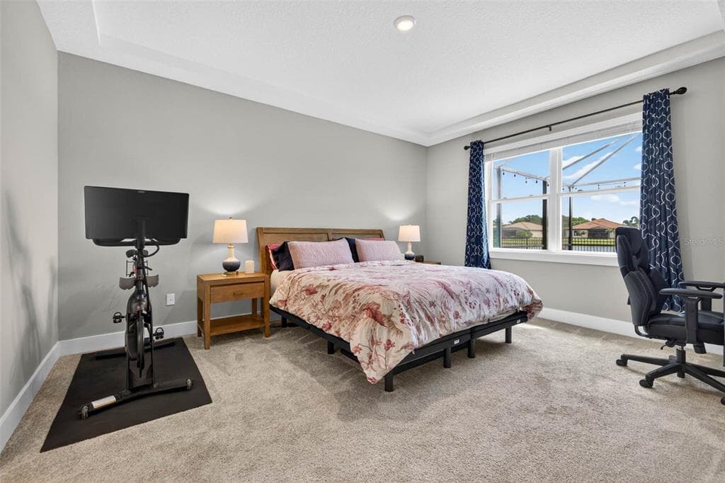 3709 SAVANNA PALMS COURT photo 18