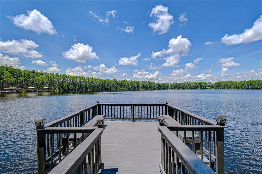 20915 LAKE VIENNA DRIVE 3