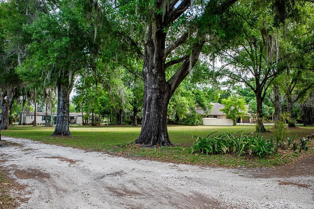 13815 PLAINVIEW ROAD photo 19