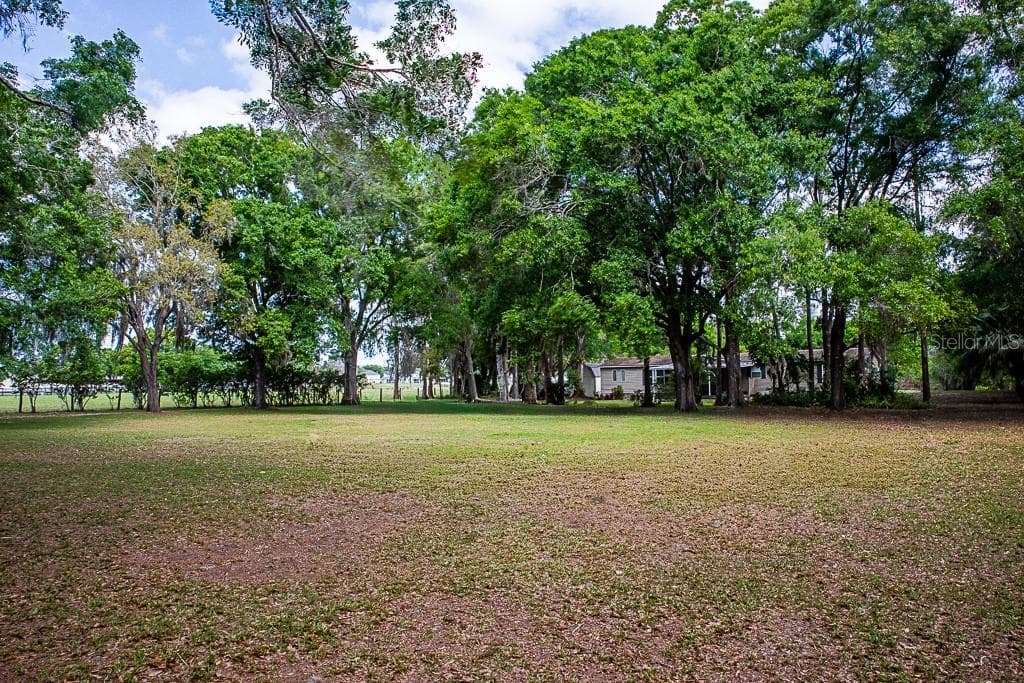13815 PLAINVIEW ROAD photo 25