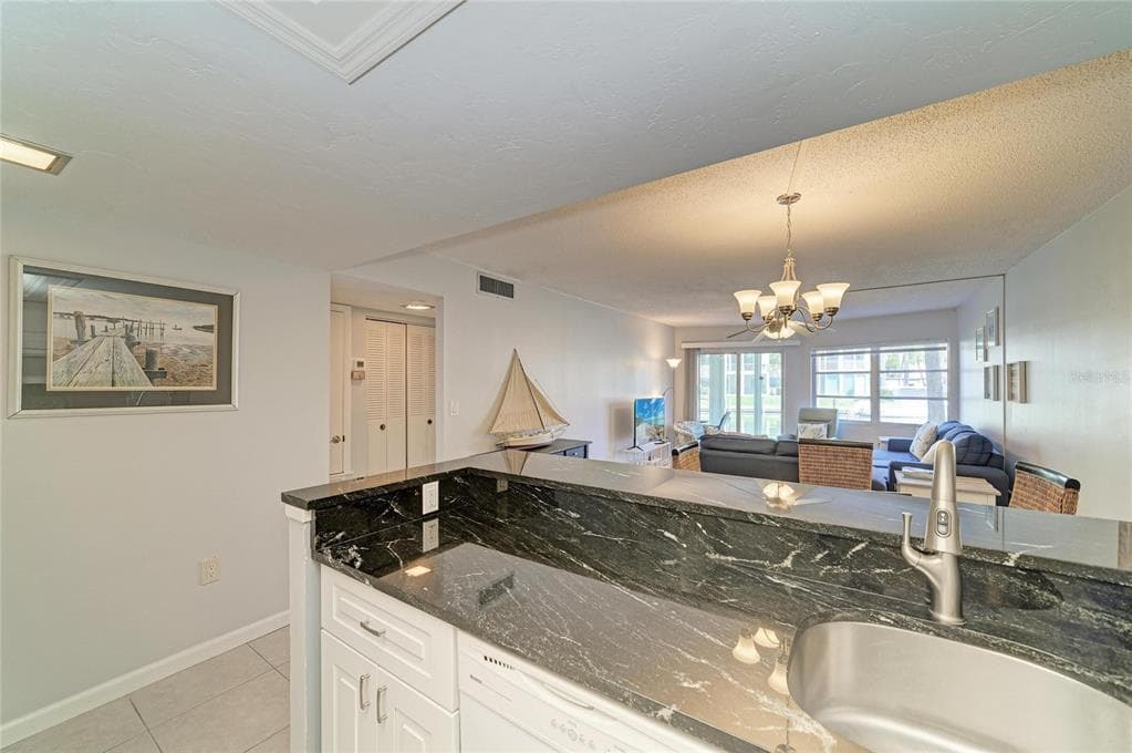 1257 S PORTOFINO DRIVE 104 photo 16