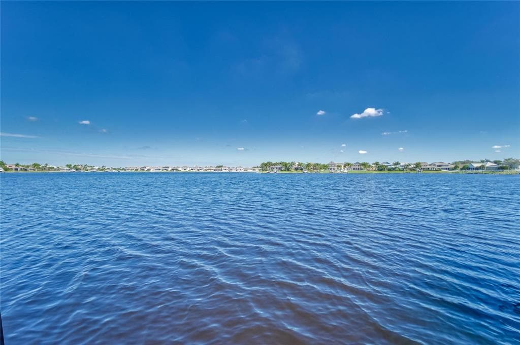 5225 BRIGHTON SHORE DRIVE photo 3