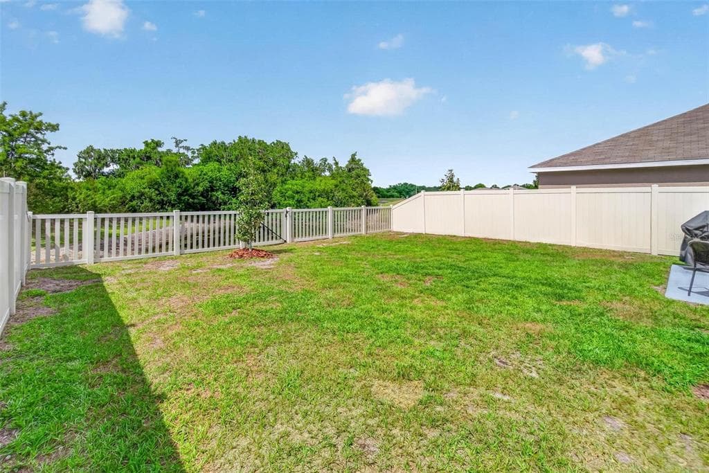 11465 STONE PINE STREET photo 14