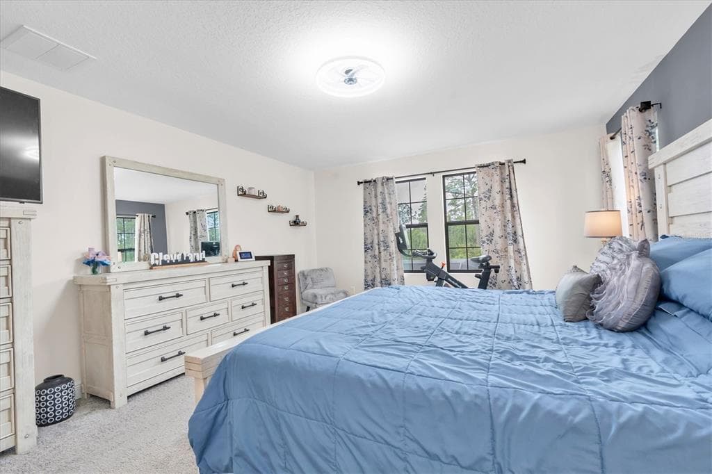4023 BURDICK LOOP photo 20