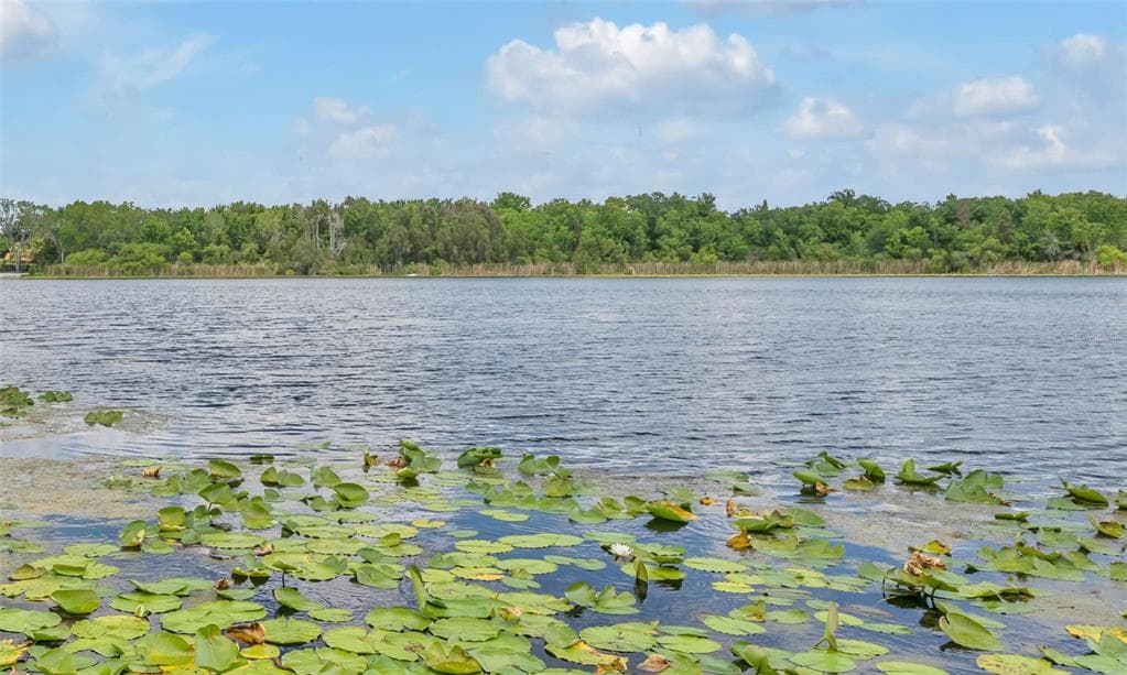 1841 LAKE SPIER DRIVE 4
