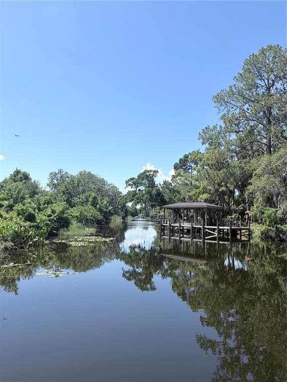 3654 HIDDEN RIVER LANE photo 19