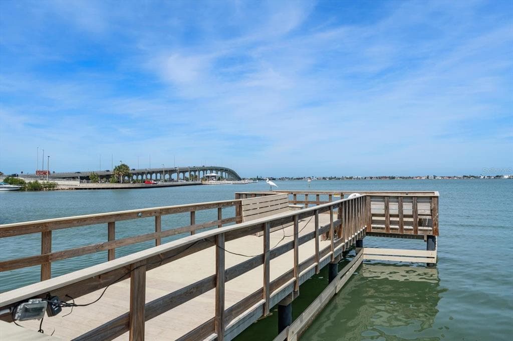 100 BLUFF VIEW DRIVE #506C 3
