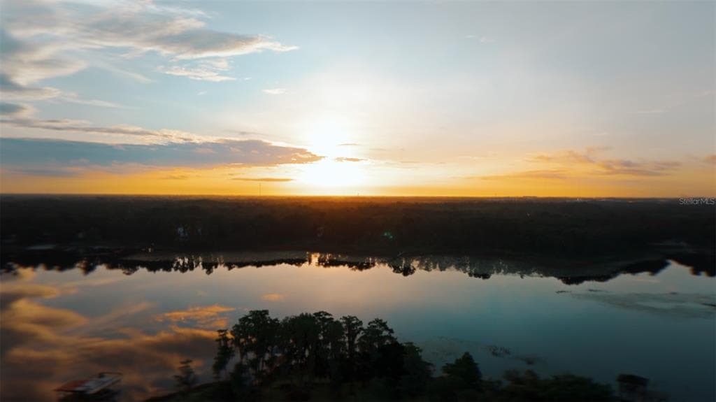 9889 LAKE GEORGIA DRIVE 1