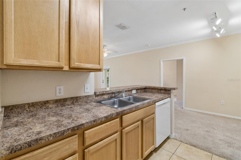 10203 COURTNEY PALMS BOULEVARD 103 photo 17