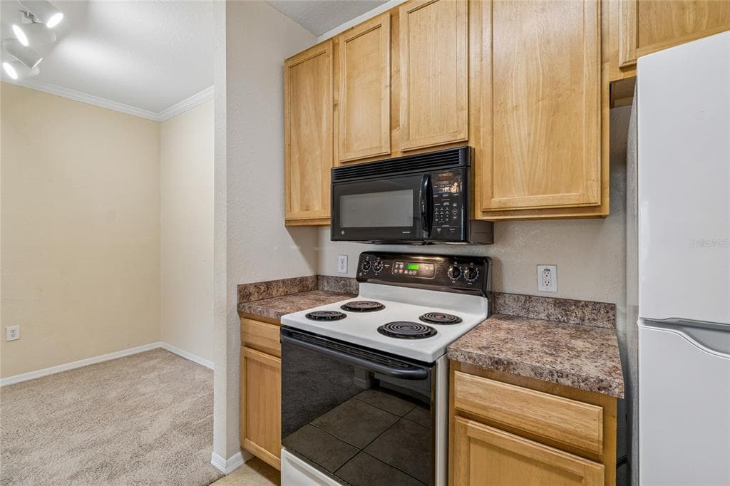 10203 COURTNEY PALMS BOULEVARD 103 photo 18
