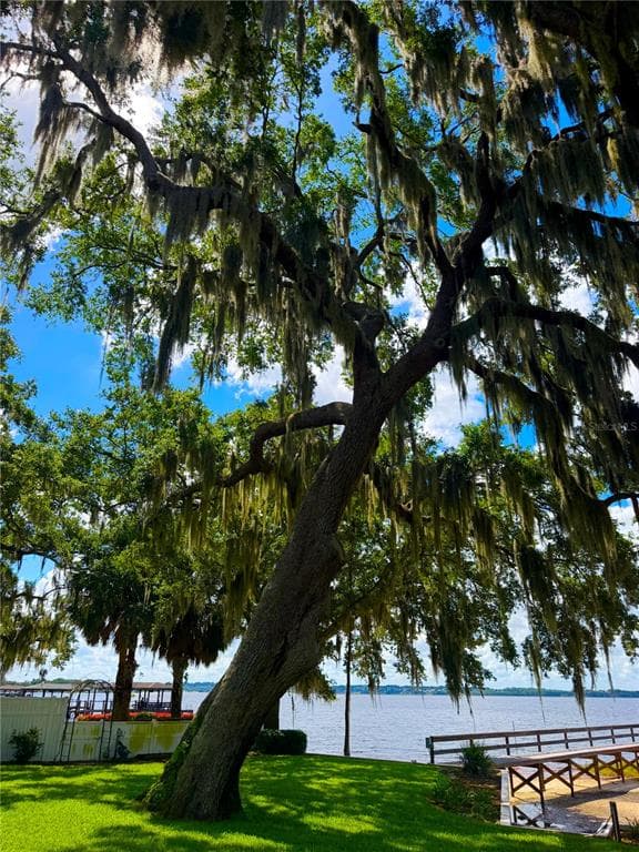 1341 W LAKESHORE DRIVE photo 10