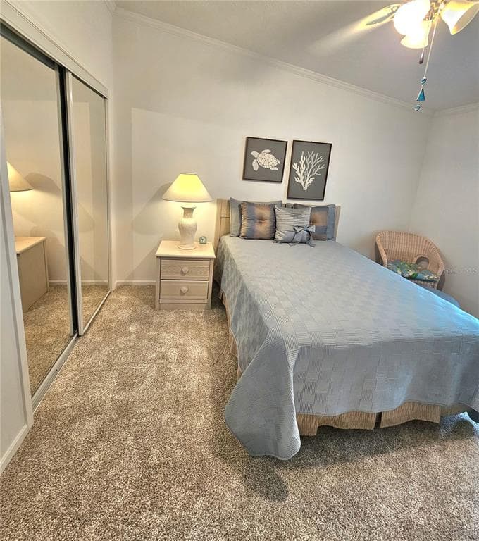 29 BRINK AVENUE photo 14