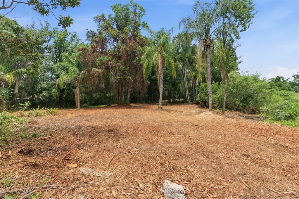 6409 CHISWICK COURT photo 14