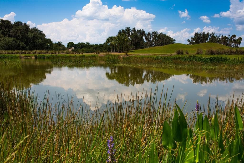 13411 HERITAGE PRESERVE DRIVE photo 24