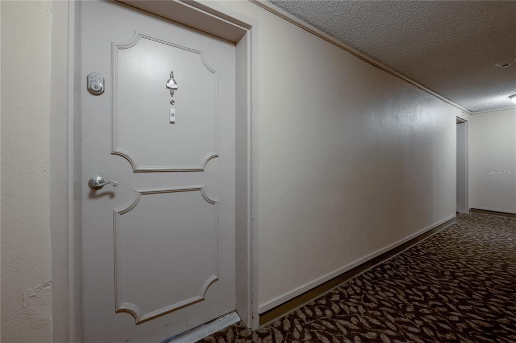 4141 BAYSHORE BOULEVARD 1003 photo 3