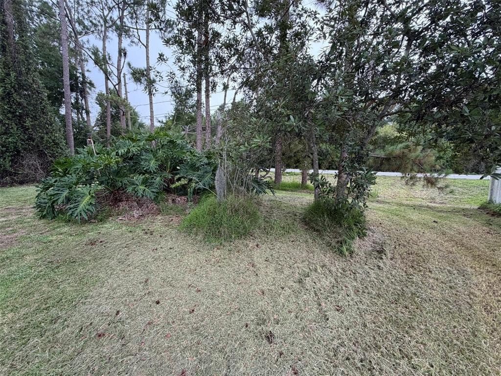 4560 POLK CITY ROAD photo 13