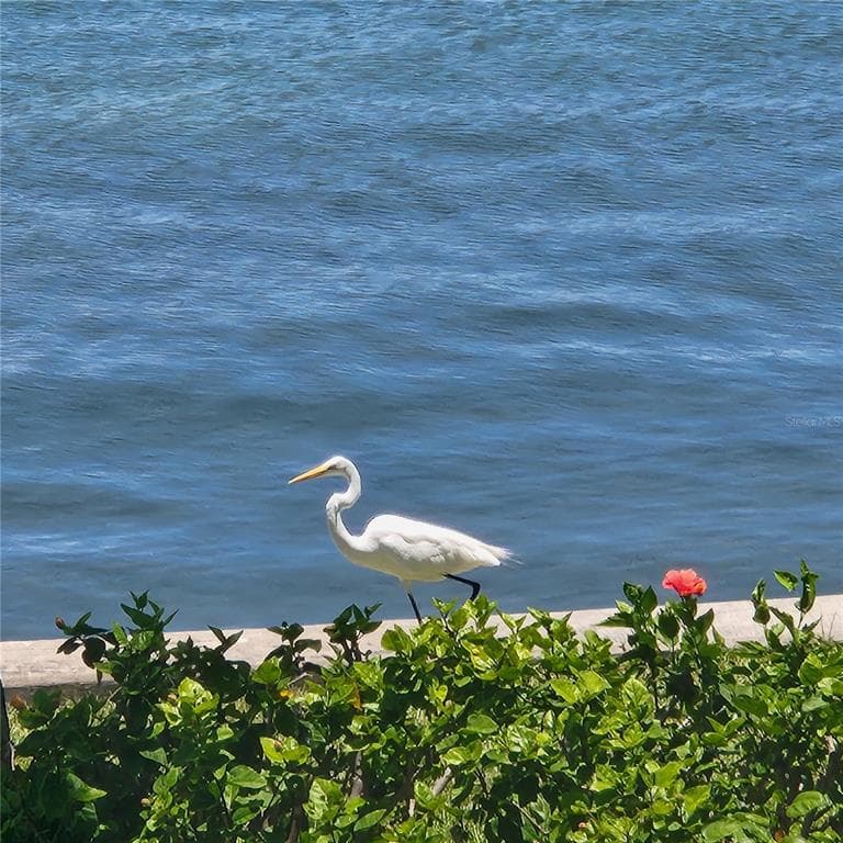 777 JOHN RINGLING BOULEVARD 24 photo 14