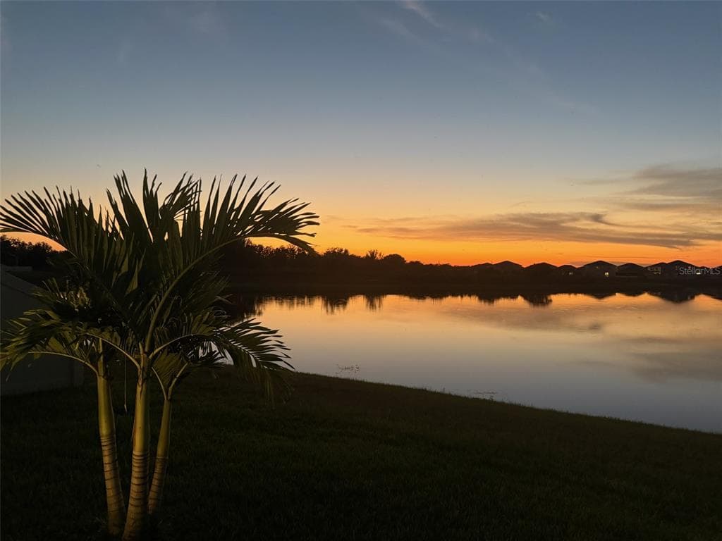 3117 KING FERN DRIVE photo 3