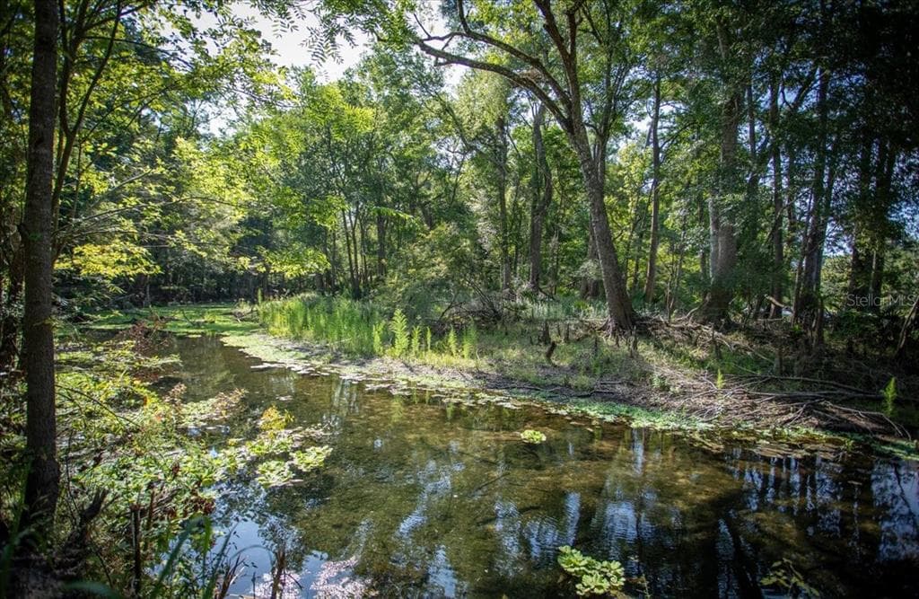 5278 SW COUNTY ROAD 138 photo 6